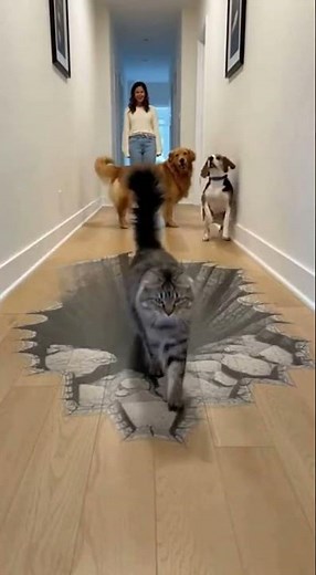 Cat Did THIS… Dogs Panic 😂😳🐶 #dog #cat #funny