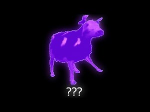 11 Dancing Polish Cow Sound Variations in 50 Seconds