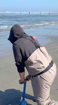 Razor clam digging why you should always look at the tide