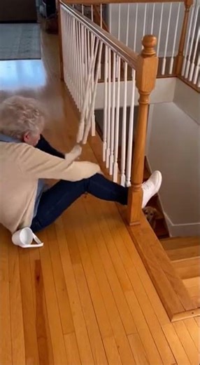 Cute dog falls off stairs😢😢🤣😿 #viral #funny #shorts