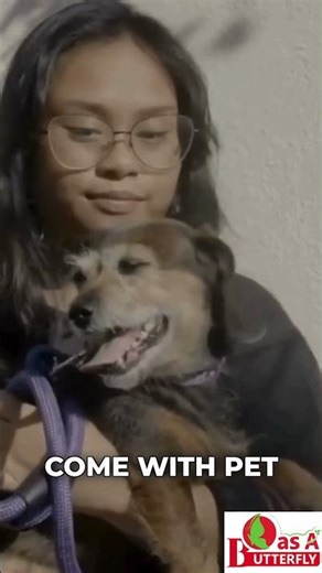 The Mutual Healing Power of the Human-Dog Bond #dogbond #mentalwellness #petlover l B As A Butterfly