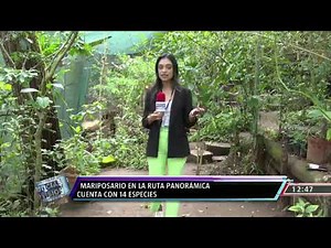 Noticias 4 Visión mediodía en vivo