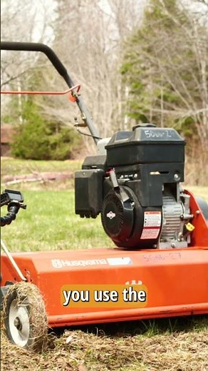 How to Dethatch Your Lawn