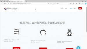 文件比对软件 beyond compare