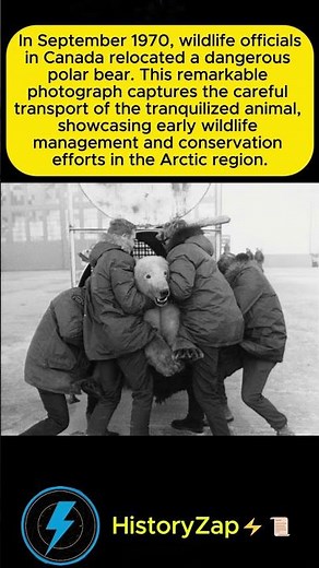 🐻‍❄️ Relocating a Dangerous Polar Bear in Canada, 1970