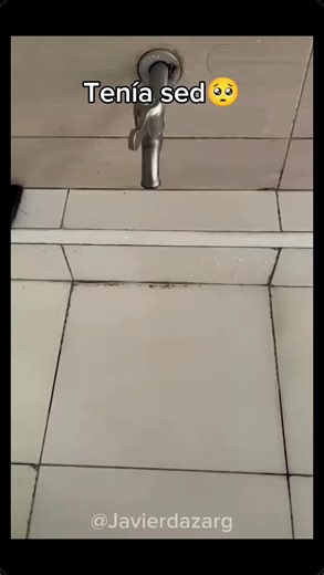 Top Memes of the Day: Your Daily Dose of Laughter