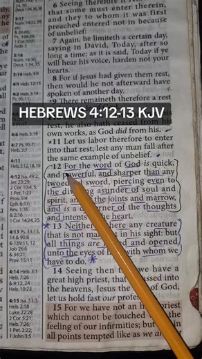 OBINNA NWAFREDRICK on Instagram: "HEBREWS 4:11-12 KJV #jesusoursaviour #kjv #kjvbible #jesus #proverbs"