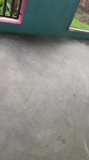 Maya Devi Neupane on TikTok