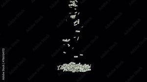 Money drop. Money rain animation on transparent background. Falling rotating Money. Falling money rain motion background with alpha channel.