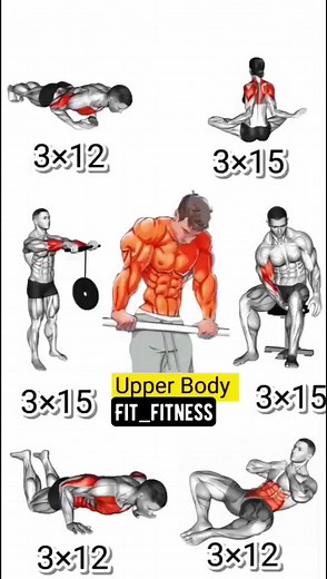 271K views · 4.6K reactions | Upper Body Full Workout!!#share #fitness #abs #absworkout #sixpackabs #bodyworkout #shorts #arms #facebookreels #reels | Fitfit Ness | Facebook