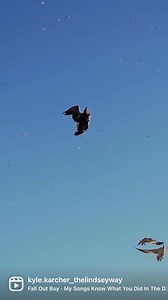 4.3K views · 126 reactions | About time to bake a pie! | Flatland Flyways | Facebook