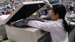 Isolation of Stem-like Cells from 3-Dimensional Spheroid Cultures