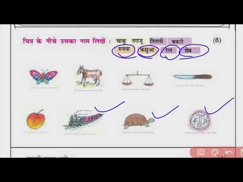 Pseb 4th class hindi bi monthly paper december 2025l pseb class 4 hindi paper fully solved 2025