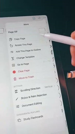 how to turn on the ENDLESS SCROLL in Goodnotes