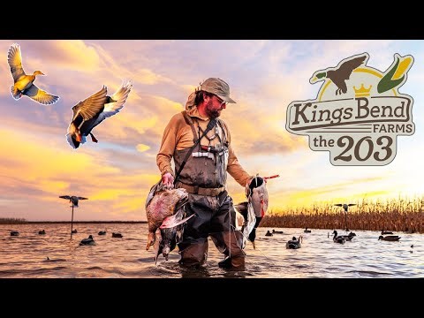 HUNTING FLOODED CORN STACKED WITH DUCKS!! (BONUS MALLARD BAND)