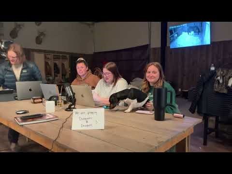 D&D Foal Watch 2 1/18/26