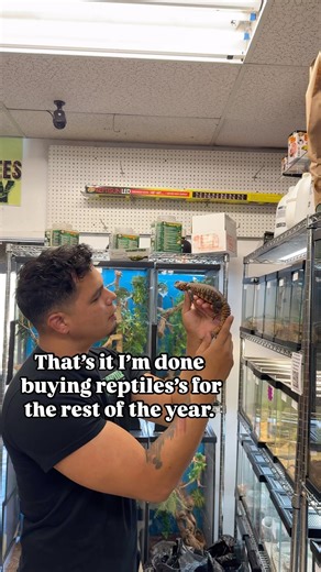 And this is how I go through life🙂 . . . . . #reptiles #trending #herpetology | LLLReptile & Supply