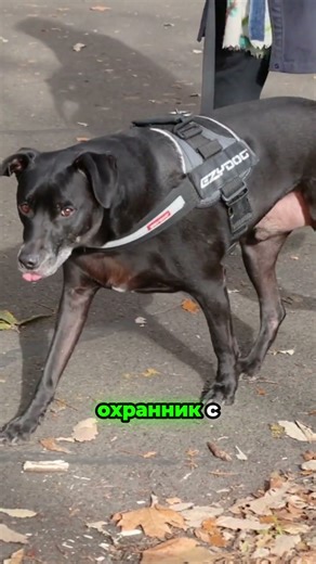 Подстава. Джек Ричер. #джекричэр #jackreacher #наручники