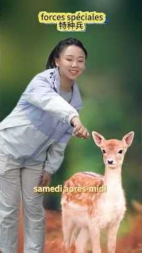 48h de voyage… ou mission impossible ?