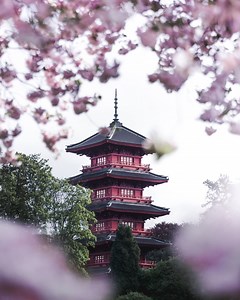 888 reactions · 437 shares | When spring comes to Brussels, natures awakens  In just one click, discover all that Brussels has to offer! www.spring.brussels | visit.brussels | Facebook