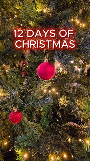 On the twelfth day of Christmas, my true love gave to meeeeeeee 🎶 12 empty windows 🪟 11 guests are coming👫 10 sample books📘 9 operating systems... #customblindsbydesign #shoplocal #fortsask #smallbusiness #womanowned #femalerun #fortsaskbusiness #decor #blinds #windowcoverings #ourloveisblinds #installationteam #yeg #edmonton #sherwoodpark #shwdprk #fortsasklocal #fortsasklocalbiz #fortsaskatchewan #fortsaskatchewanbusiness #fortsaskbusiness #homedecor #homestyle #homedesign #yeggers #Hunter