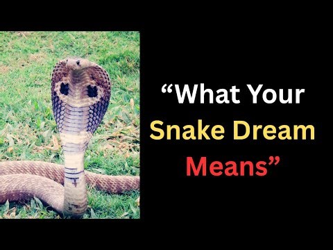 “The Secret Meaning Behind Snakes Chasing You in Dreams”