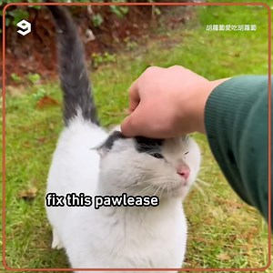 350K views · 6.4K reactions | fix meow house! | 9GAG | Facebook