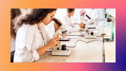 College Courses You Can Pursue if You Took the STEM Strand in SHS