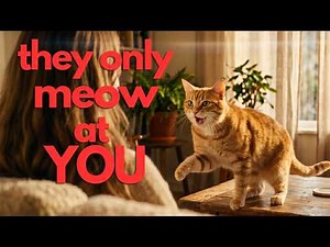 The Secret Language Your Cat Invented for You