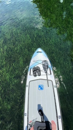 Dustin Michael on TikTok