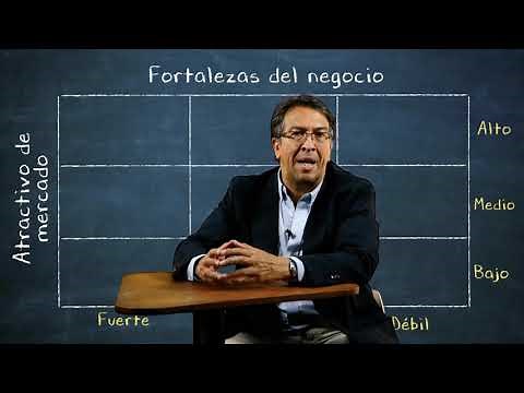 Matriz McKinsey - General Electric