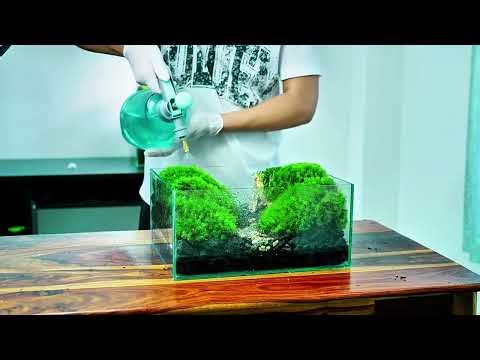 DIY Mini Stream Inside a Desktop Aquarium | Relaxing Fish Tank Design