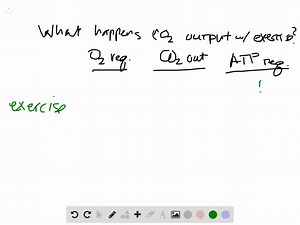 Why did the rate of oxygen consumption increase during exercise? What happened to the plasma levels of carbon dioxide during exercise? Explain. | Numerade