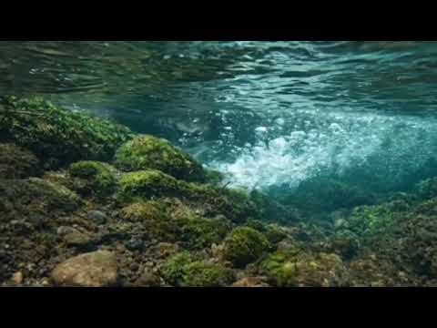 Gentle River Flow Sounds for Deep Sleep & Relaxation (No Music)
