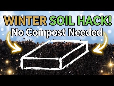 The Winter Soil Trick Gardeners Are Raving About (No Compost Needed!)