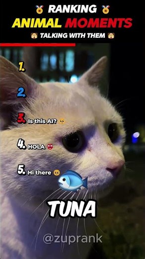 Ranking BEST Talking With Animals Moments!