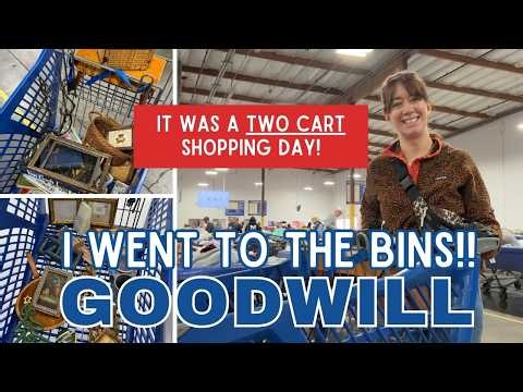 GOODWILL BINS TWO CART SHOPPING DAY! Thrift with Me for Resale