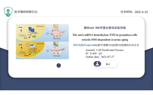 解析m6A RNA甲基化修饰实验思路