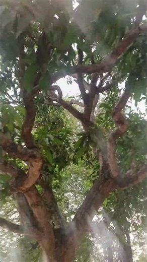 Please support me 🙏 #viral #blogg #shorts #tending ....?