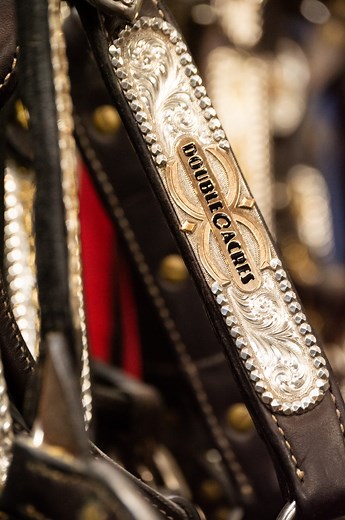 Get Ready With Me - Halter Million Edition✨ #MarkedForGreatness | #grwm | #halterhorse | #painthorse | #apha | #haltermillion | Official American Paint Horse Association