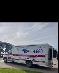 ✅Boost confidence ✅Mental stimulation ✅Regular cardiovascular exercise ✅Weight management ✅Break up the day in the office These are part of the benefits from using Firepaw Phoenix Dog Treadmill | Firepaw Dog Treadmills | Facebook