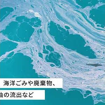 海洋汚染はなぜ起こる？原因や海洋環境に与える影響とは