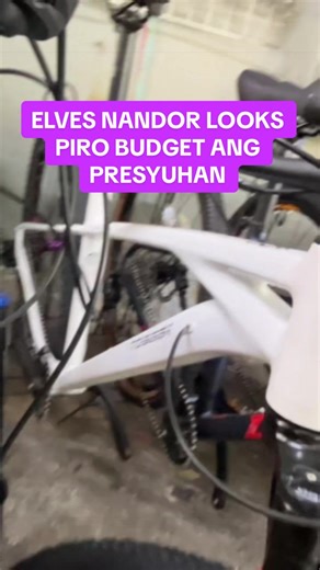 Toseek Brandon V3 Mountain Bike: Elves Nandor Looks