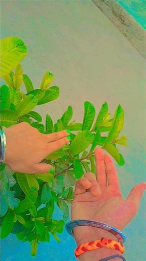 attractive and beautiful 🥰 hands steps # beautiful #attractive #hands