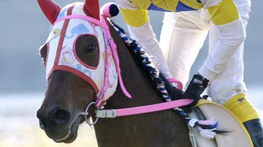 Haru Urara finally won her first race over a decade after she retired