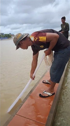 A cast net fishing traditional trap in the village #shorts