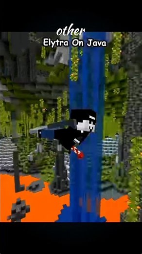 java Elytra vs bedrock Elytra ❤️‍🩹