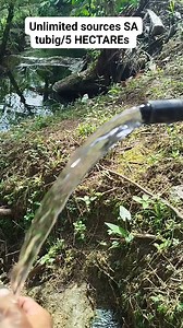 176K views · 1.4K reactions | KANI oooh Swak kaau NI SA mahiligon ug farm. Fully planted SA lubi 5 HECTAREs title Unlimited sources SA tubig New Corella davnor Pm more details 09753576589 #highlightseveryonefollowers2024 #fypviralシ #viralreelsfacebook #investment #buyersagent | Dongs Oroc | Facebook