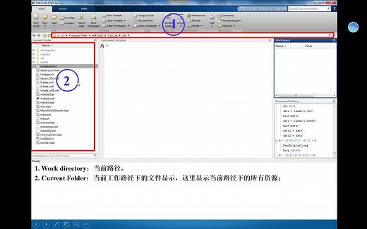 MATLAB脑影像数据处理零基础教程