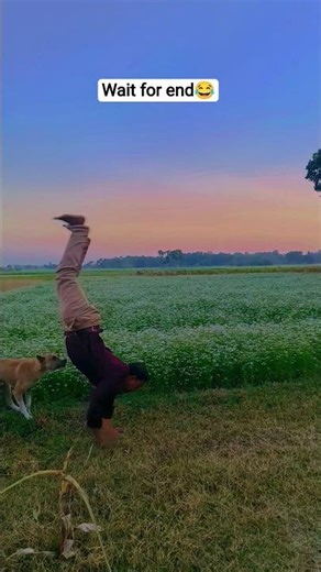 funny dog 🐶😂 jimnastick 💯#funny #dog #jimnastik #viral #fypシ